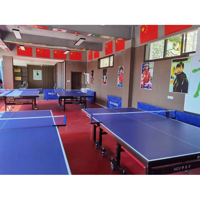 国产  室内乒乓球台 蓝色规格请电联（计价单位：张）